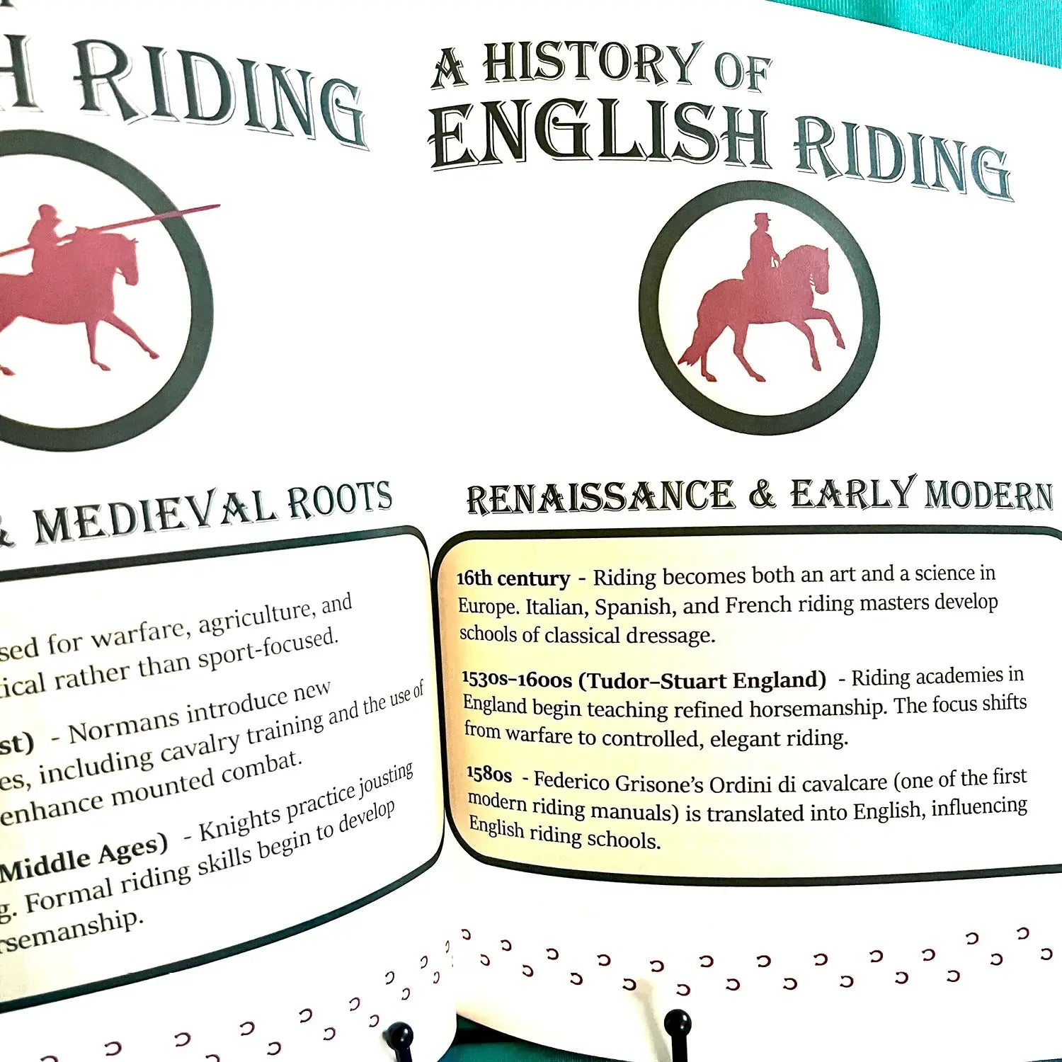 English Riding Lessons & Activities