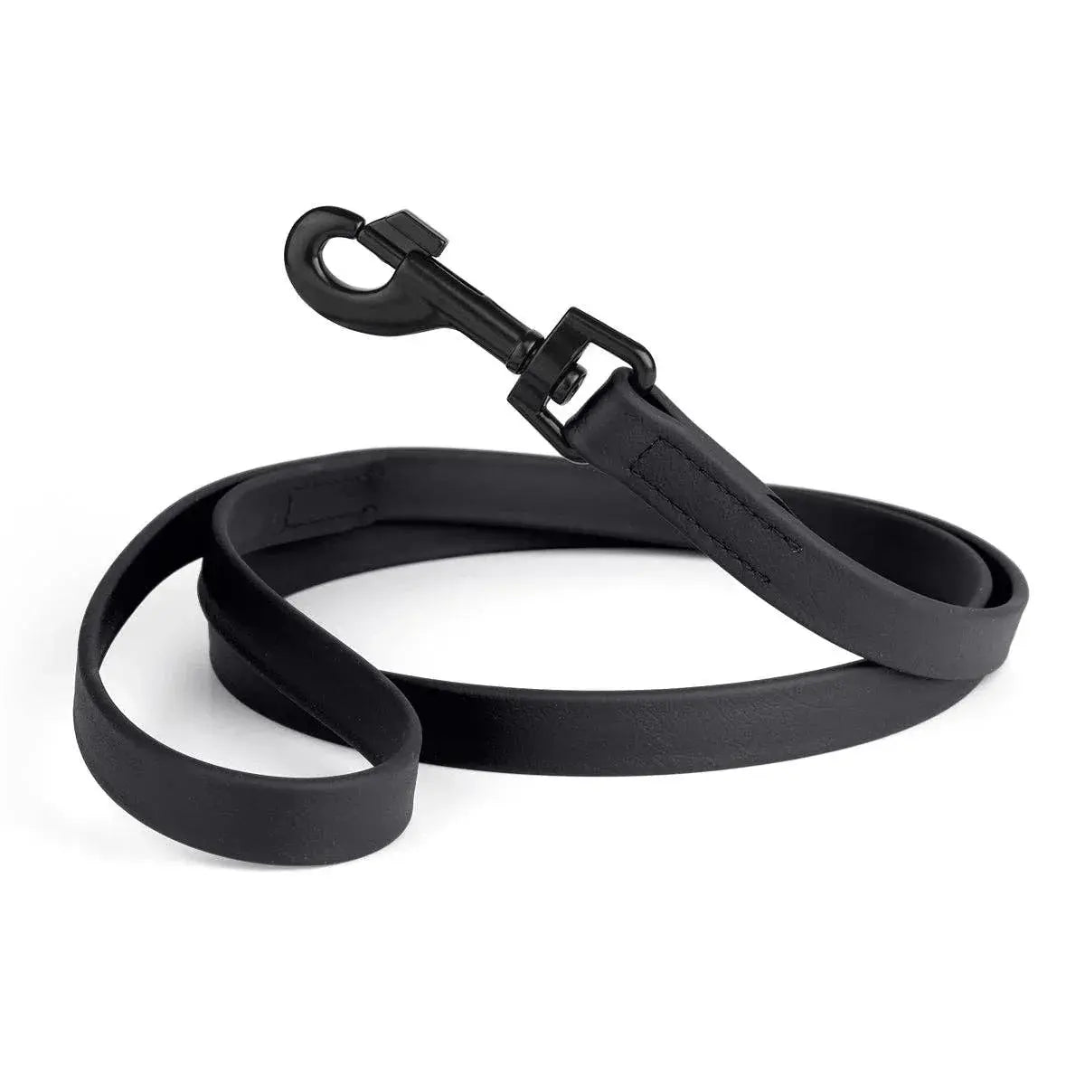 Biothane Waterproof Leash Black 1 2" 6' Dog