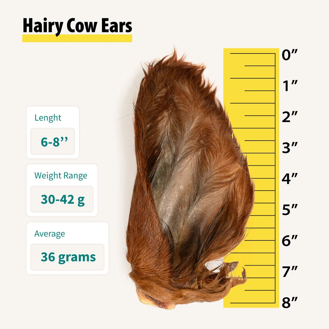 Hairy Cow Ears
