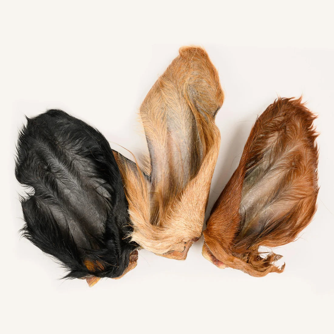 Hairy Cow Ears