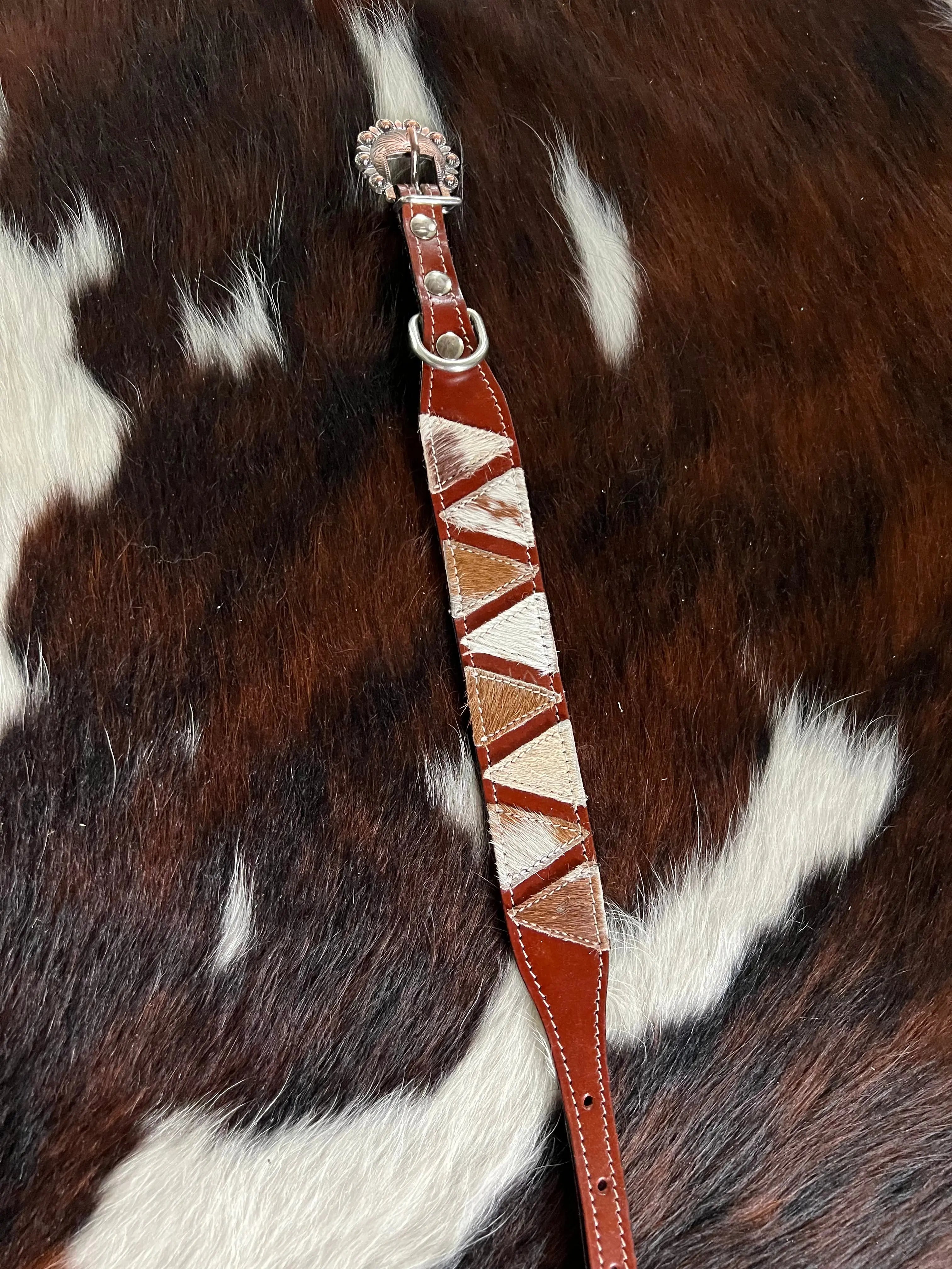 Hair on Cowhide Medium oil braided leather dog collar Dog