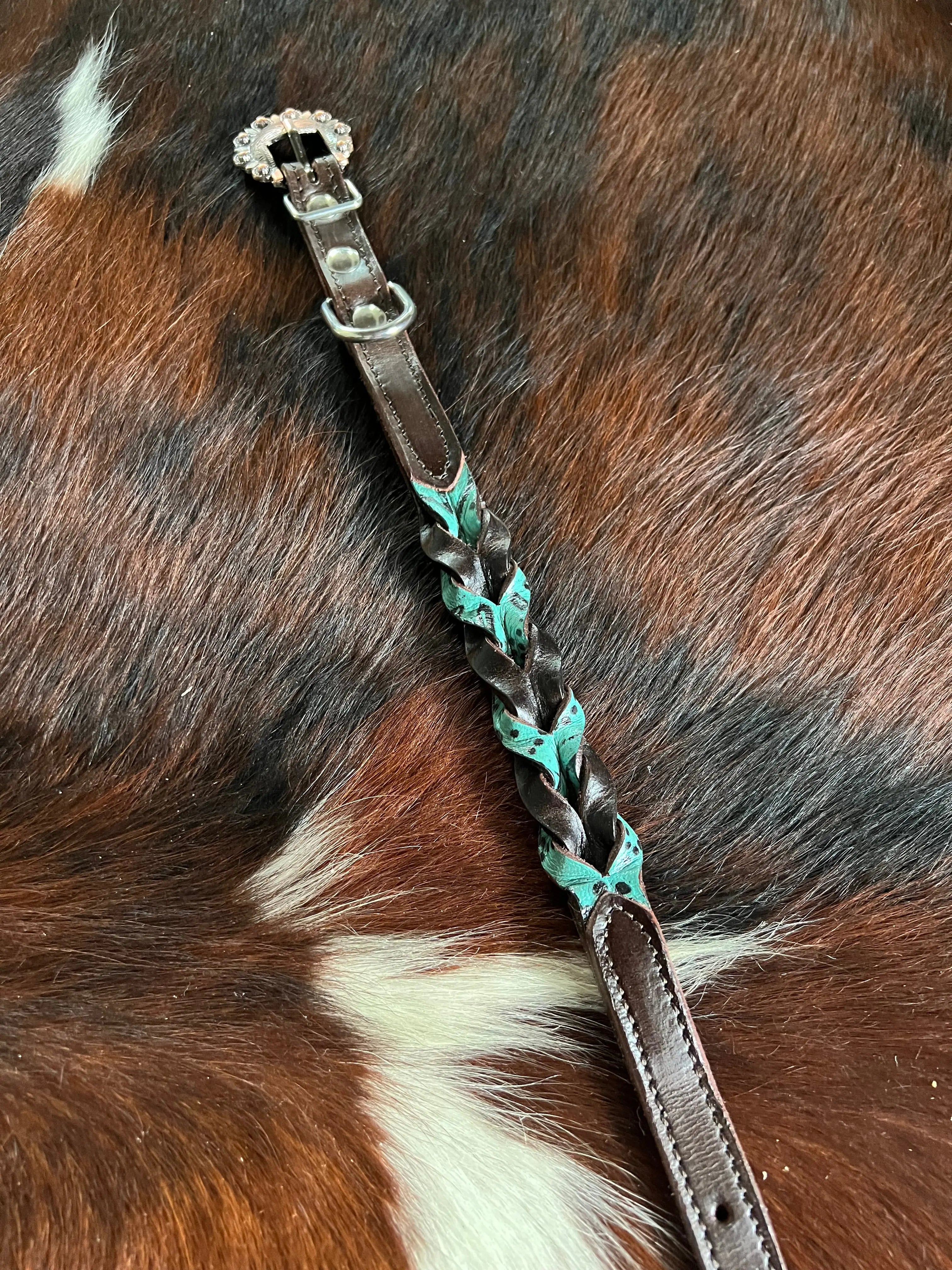 Teal and Dark oil braided leather dog collar Dog