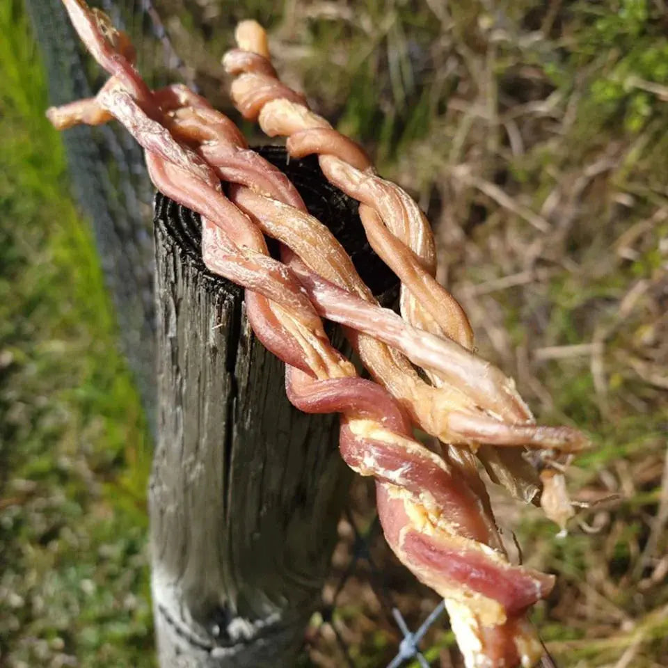Lamb Pizzle Twist Regular - twisted dried beef jerky strands, reddish-brown tan