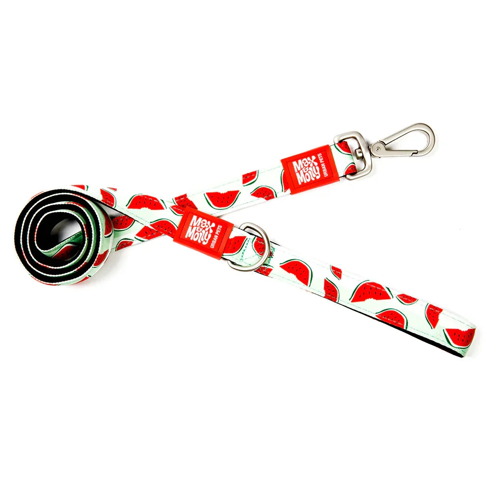Max & Molly Watermelon Leash 6ft Leash
