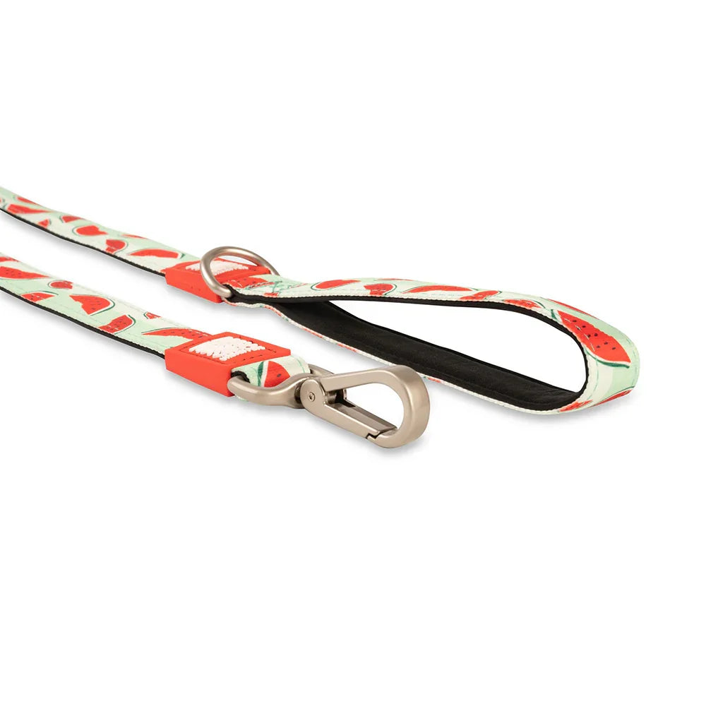 Max & Molly Watermelon Leash 6ft Leash