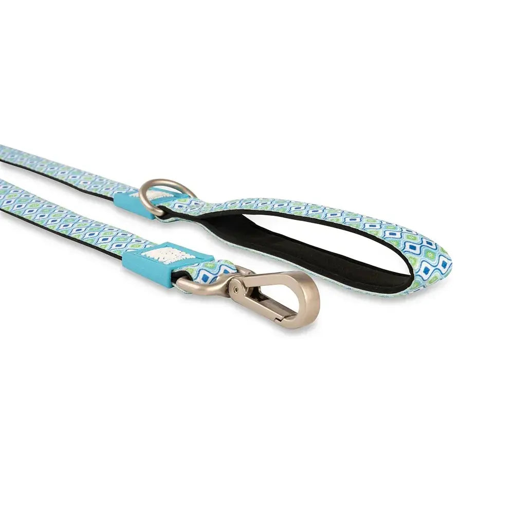 Max & Molly Retro Blue Leash 4ft Leash