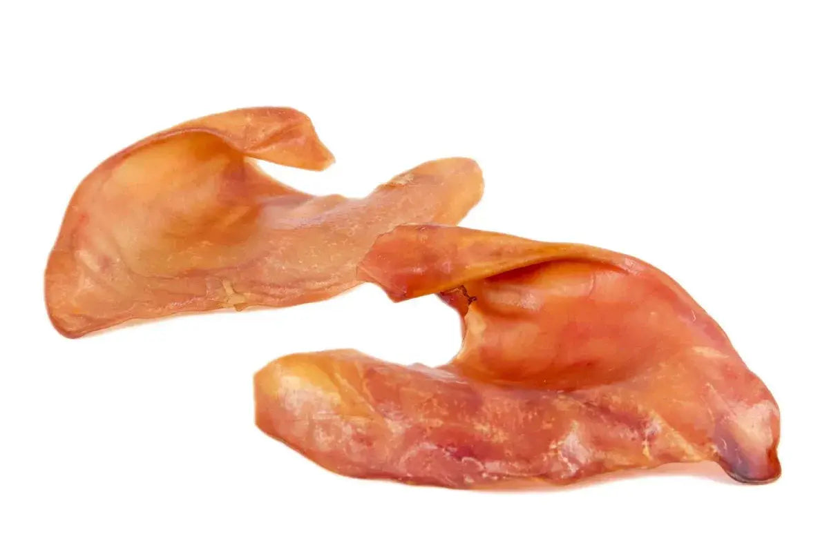 Pig Ear Chews Dog