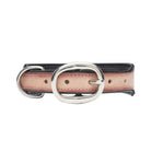 Cow Dog Trail Hand-tooled Dog Collar Dog
