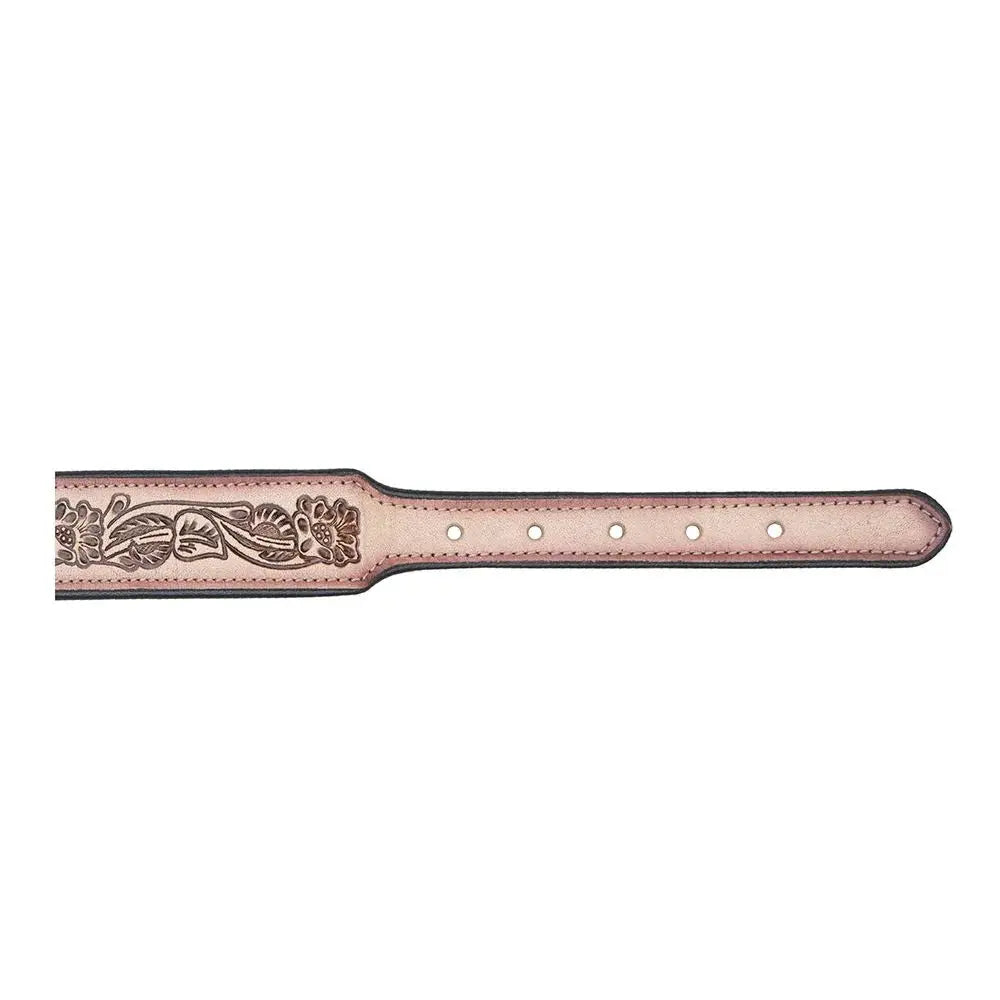 Cow Dog Trail Hand-tooled Dog Collar Dog