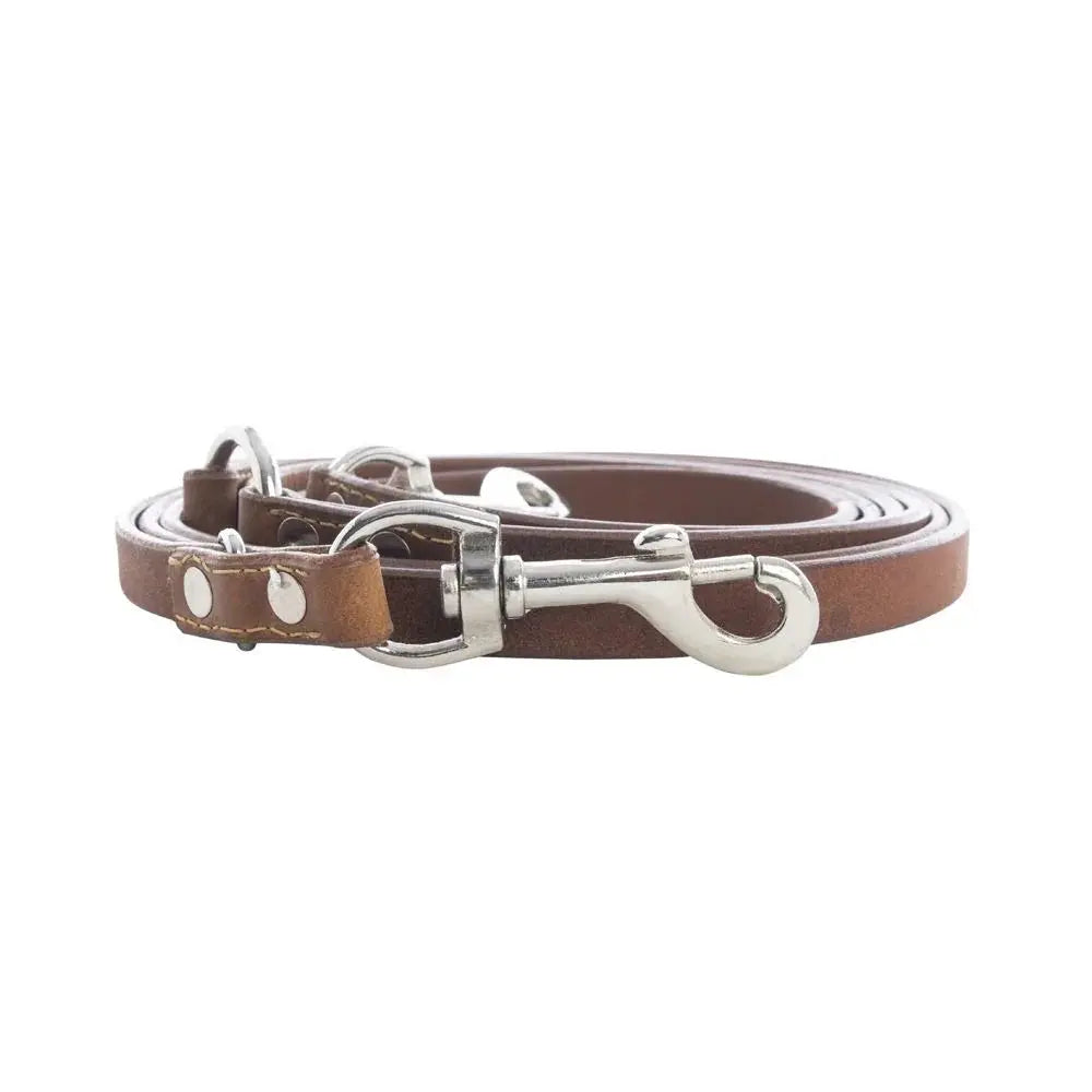 Viaje Dog Leash in Caramel Dog