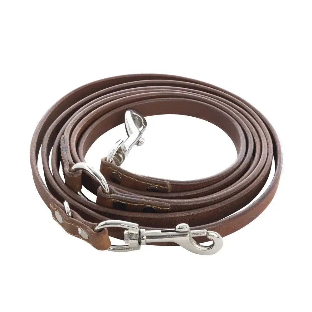Viaje Dog Leash in Caramel Dog