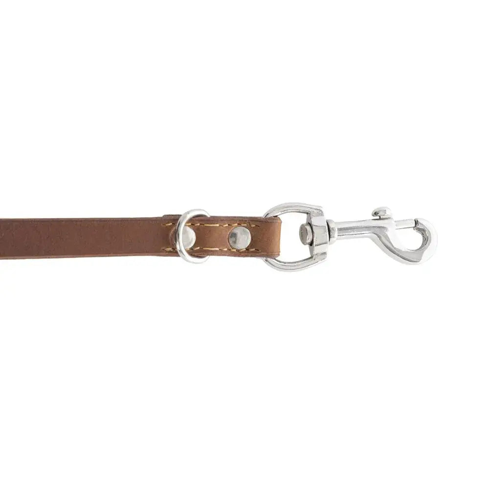 Viaje Dog Leash in Caramel Dog