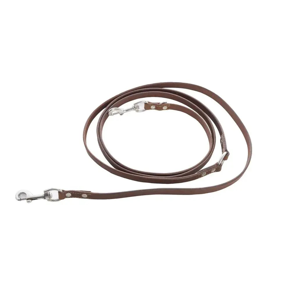 Viaje Dog Leash in Caramel Dog