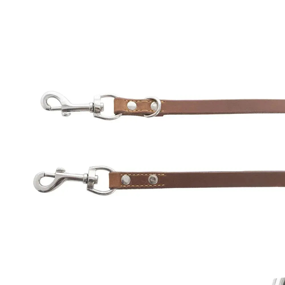 Viaje Dog Leash in Caramel Dog