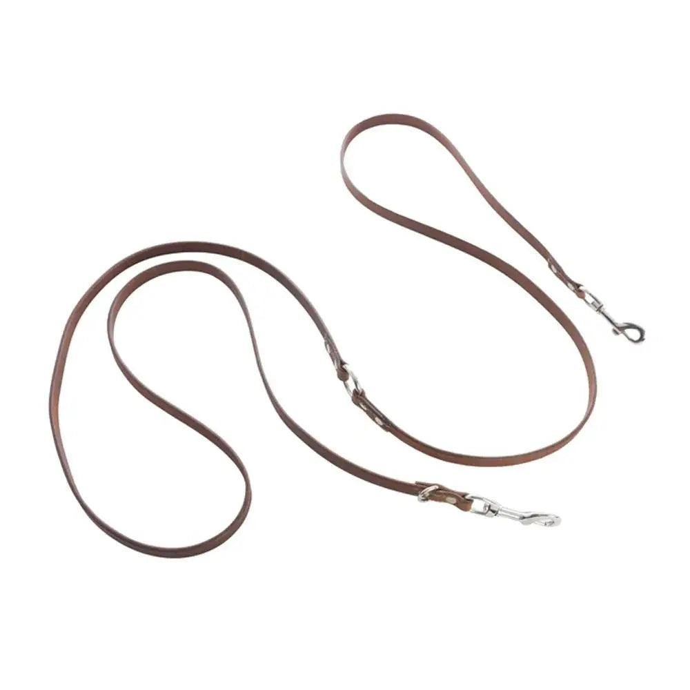 Viaje Dog Leash in Caramel Dog