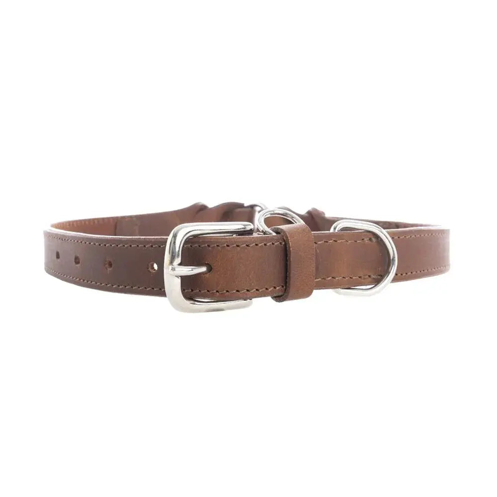 Topside Dog Collar in Chocolate Dog