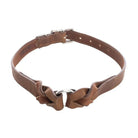 Topside Dog Collar in Chocolate Dog