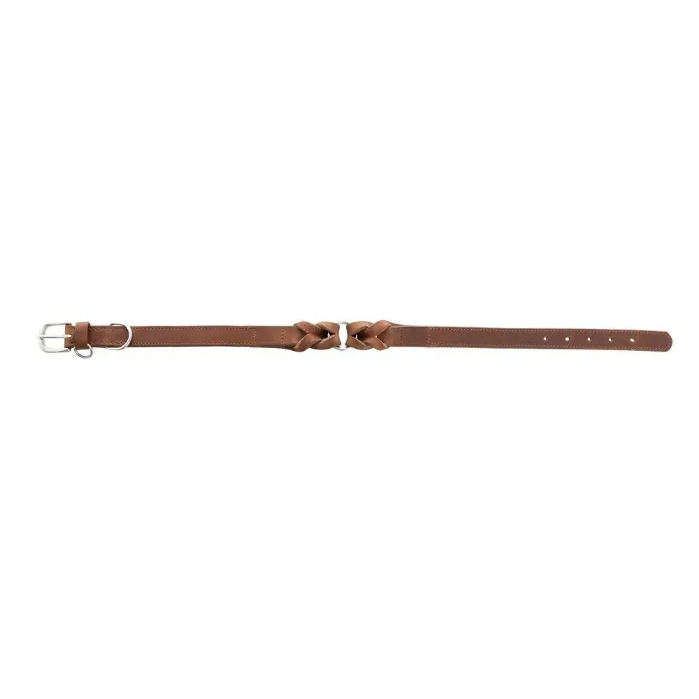 Topside Dog Collar in Chocolate Dog