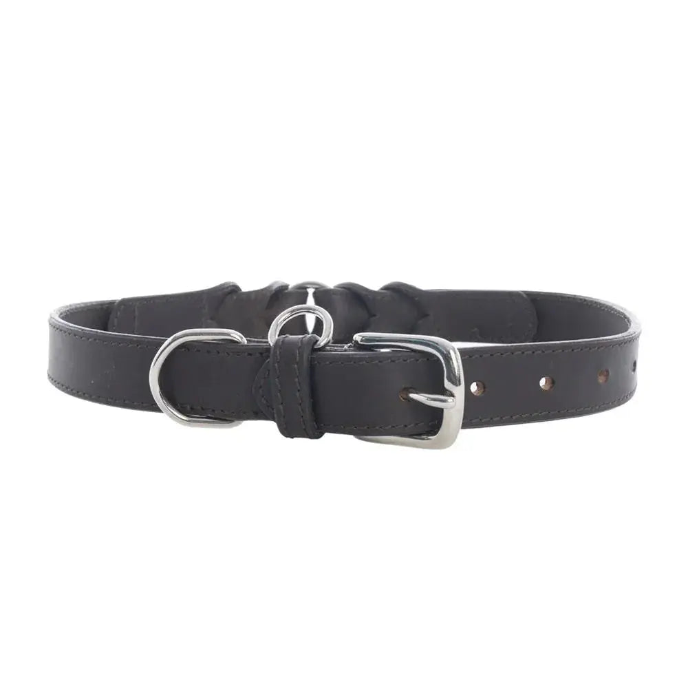 Topside Dog Collar in Ebony Dog