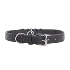 Topside Dog Collar in Ebony Dog