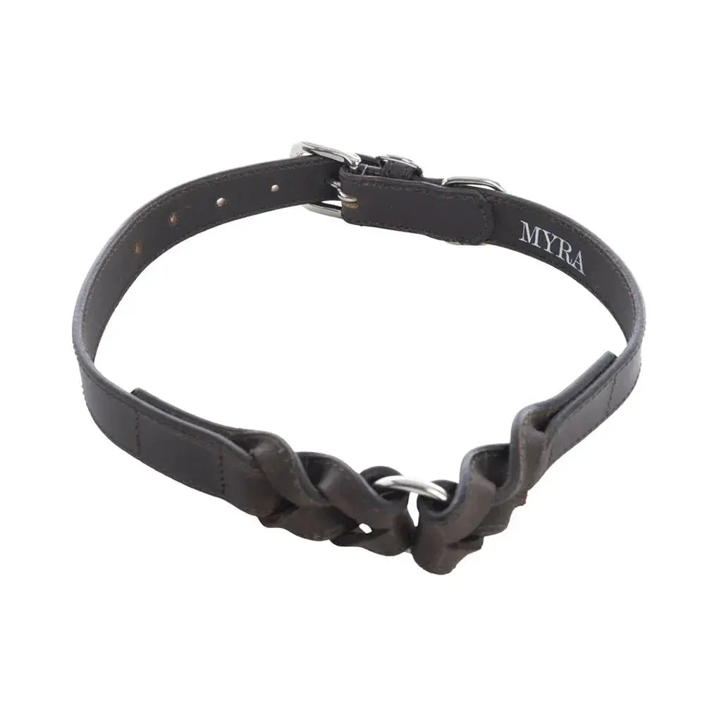 Topside Dog Collar in Ebony Dog