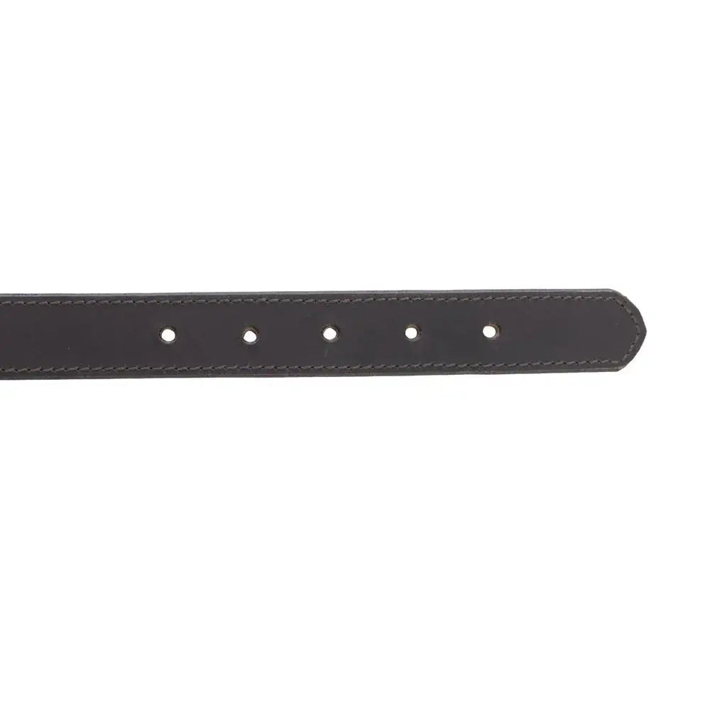 Topside Dog Collar in Ebony Dog