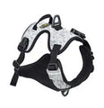 Alpine Reflective Harness