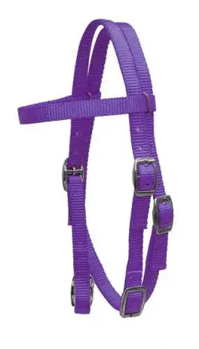 Pony Size Premium nylon browband headstall Horse