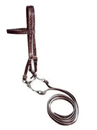Brown leather horse halter with silver hardware and coiled lead rope