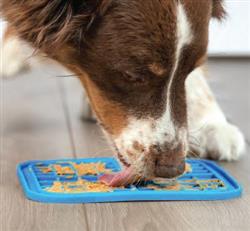 Pet Zone Boredom Busterz Indulge Orange XL Slow Feeder Licking Mat