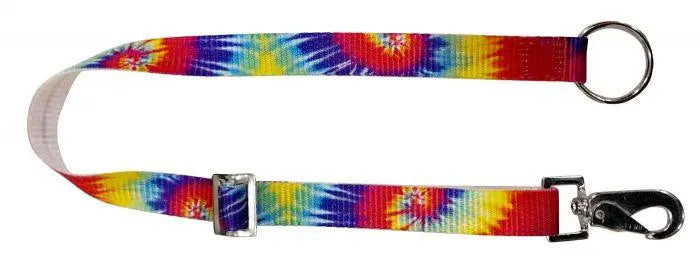 1-inch tie-dye print nylon adjustable dog leash with snap buckle