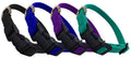 Nylon Dog Collar with Snap Buckle