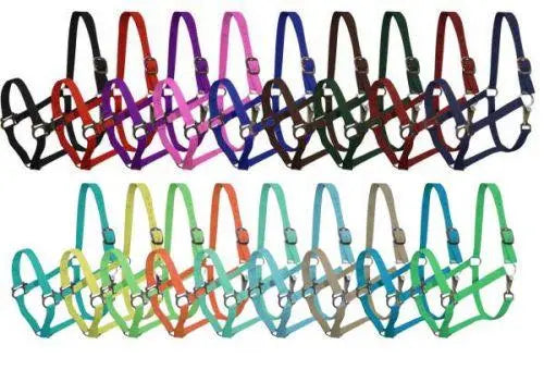 Double Ply Horse size turnout nylon halter with snap. Horse