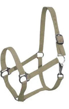 Double Ply Horse size turnout nylon halter with snap. Horse