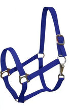 Double Ply Horse size turnout nylon halter with snap. Horse
