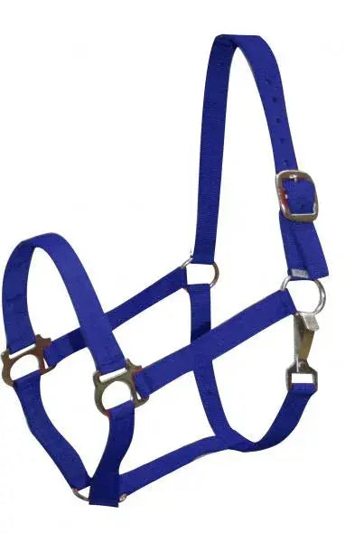 Double Ply Horse size turnout nylon halter with snap. Horse