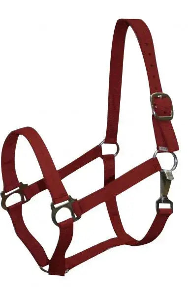 Double Ply Horse size turnout nylon halter with snap. Horse