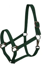 Double Ply Horse size turnout nylon halter with snap. Horse