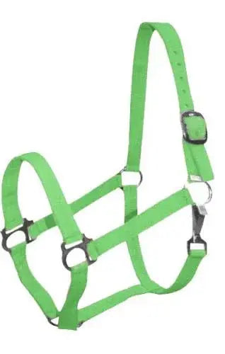 Double Ply Horse size turnout nylon halter with snap. Horse