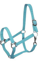 Double Ply Horse size turnout nylon halter with snap. Horse