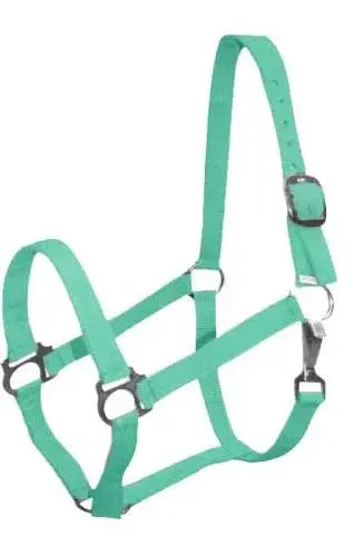 Double Ply Horse size turnout nylon halter with snap. Horse