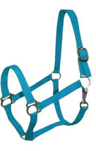 Double Ply Horse size turnout nylon halter with snap. Horse