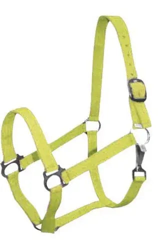 Double Ply Horse size turnout nylon halter with snap. Horse