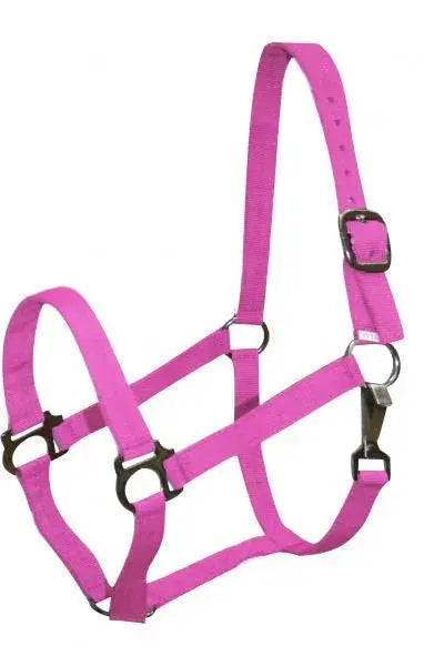 Double Ply Horse size turnout nylon halter with snap. Horse