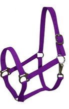 Double Ply Horse size turnout nylon halter with snap. Horse