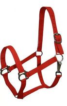 Double Ply Horse size turnout nylon halter with snap. Horse