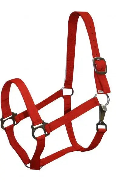 Double Ply Horse size turnout nylon halter with snap. Horse