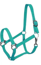 Double Ply Horse size turnout nylon halter with snap. Horse