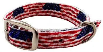 American Flag designed nylon dog collar Dog