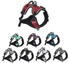 Alpine Reflective Harness Dog